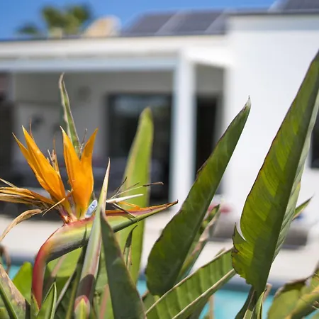 빌라 Extraordinary 3 Bedrooms Naraku Spacious