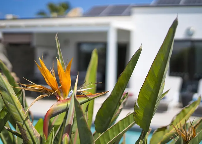 빌라 Extraordinary 3 Bedrooms Naraku Spacious